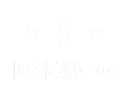 daewoo company logo